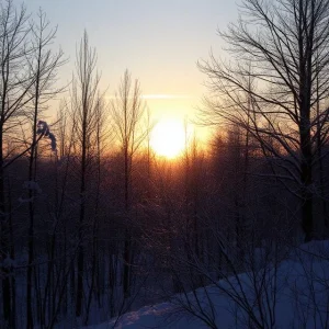 The Winter Solstice When the Light Pauses The Winter Solstice When the Light Pauses